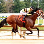 “All racehorse,” Chub Wagon scores in Alma North