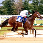 De Francis Dash day stakes picks