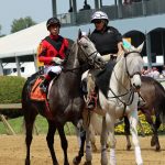 Bandbox colt named champion of MHBA yearling show