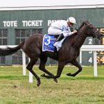 Delaware Park Handicappers’ Notebook 2022 Vol. 7