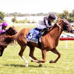 Divine Huntress narrowly best in Miss Disco