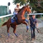 Spa selections 2022: Saratoga picks July 22