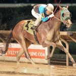 Bound by Destiny looks for four-bagger in Small Wonder