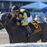 Vedareo impresses in Sorority romp