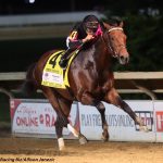 Society is much the best in G3 Charles Town Oaks