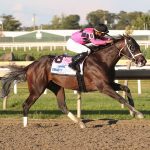 Delaware Park Handicappers’ Notebook 2022 Vol. 13