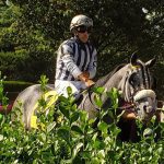 Fasig-Tipton Midlantic yearling catalog now online