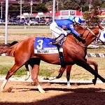 Derby Bill’s Travers day stakes picks