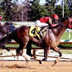 Triple Crown trail: Litigate scores in Sam F. Davis