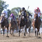 Midlantic-breds among late Triple Crown nominees