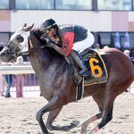 Delaware Park Handicappers’ Notebook 2022 Vol. 13