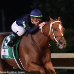 Art Collector repeats in G2 Charles Town Classic