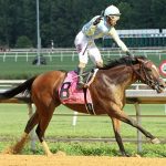 Delaware Park Handicappers’ Notebook 2022 Vol. 11