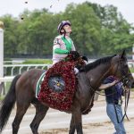 Highestdistinction sharp in G3 BWI Turf Cup win
