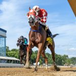 Music Amore plays winning tune in Searching Stakes