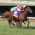 Pimlico: Alwaysinahurry upsets Wondrwherecraigis