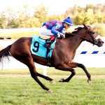 Wanamaker’s to sell 24 in upcoming sale