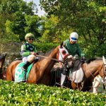 Whereshetoldmetogo, Intrepid Daydream highlight DelPark stakes