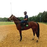 Delaware Park picks and horses to watch: September 15