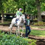 Field Pass may defend BWI Turf Cup title
