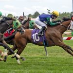 Patience rewarded on BWI Turf Cup day