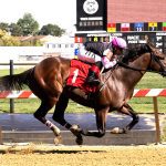 Defending champs among Maryland Million pre-entries