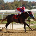 Maryland Million 2022 results roundup