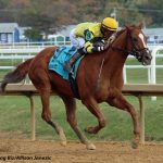For Colonial Downs, more of the same sounds good