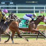 Delaware Park picks and horses to watch: October 27