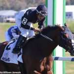 Md Million: Nursery, Lassie show glimpse of future