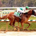 Congruent in shape for Laurel Futurity score