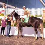 WVBC: Seeking clarity in 2yo stakes
