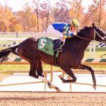 Marz Express prevails in Eleanor Casey Memorial
