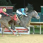 Hessica scores in WVBC Cavada