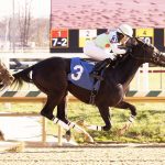 Laurel Park picks and ponderings: November 20, 2022