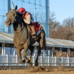Armando R over the top to win Small Stakes
