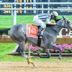 Laurel: Honeyquist in with “a shot”