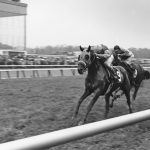 Pimlico-Laurel project: Seeking “reasonable resolution”
