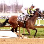 Recruiter marches to Lewis Stakes victory