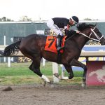 “Right thing to do”: Whereshetoldmetogo retired