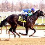 Hybrid Eclipse rallies to Thirty Eight Go Go win