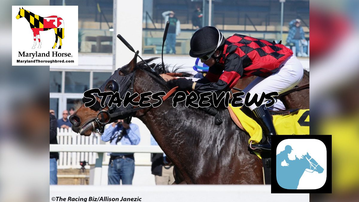 stakes preview title card