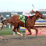 “Right thing to do”: Whereshetoldmetogo retired