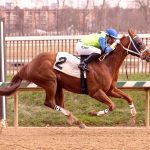 Laurel Park just right for Prove Right