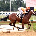 Fasig-Tipton 2022 Mixed sale by the numbers