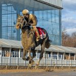 Fasig-Tipton 2022 Mixed sale by the numbers