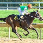 Johnyz From Albany, Post Time meet in Md. Juvenile