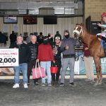 First graded win for Repo Rocks, jockey Wolfsont