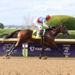 Cyberknife carries cancer awareness banner in Pegasus