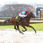Delaware: Catching up with… Vince Halliday